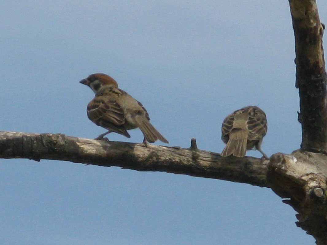 ��� ����� �� ����� ����� ������� ��������� �� PhotoGeek.ru #�������� ���