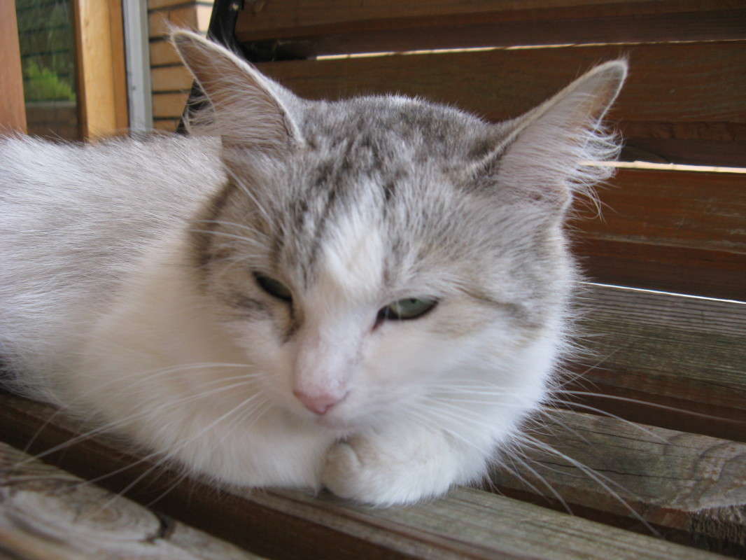 ������� ����� ������� ��������� �� PhotoGeek.ru #�������� ���