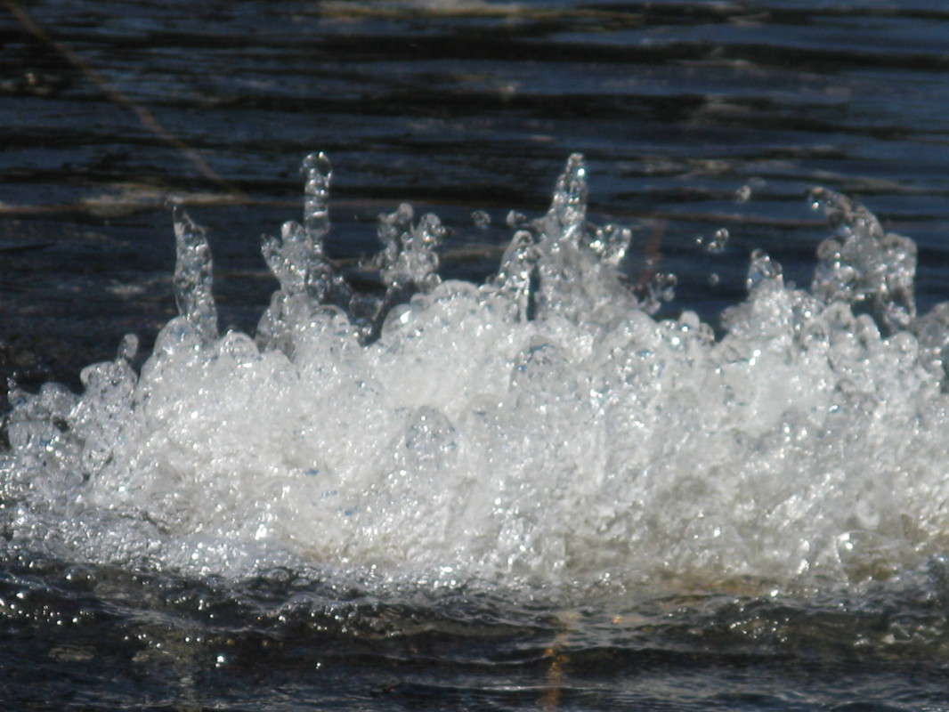 ������ ����� ������� ��������� �� PhotoGeek.ru #������ ��� ������� #������