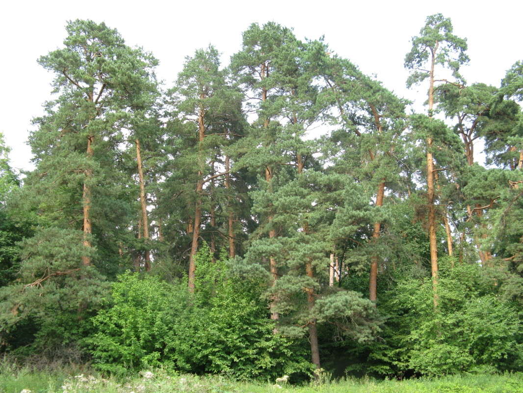 �������� ��� ����� ������� ��������� �� PhotoGeek.ru #������ ��� ������� #����� ��������������