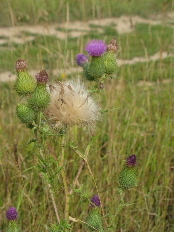 ������� ������ ����� ������� ��������� �� PhotoGeek.ru #����� #������ ��� ������� #����� ��������������