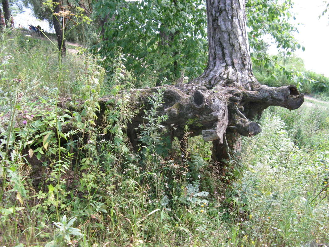 ������ ����� ������� ��������� �� PhotoGeek.ru #������ ��� �������