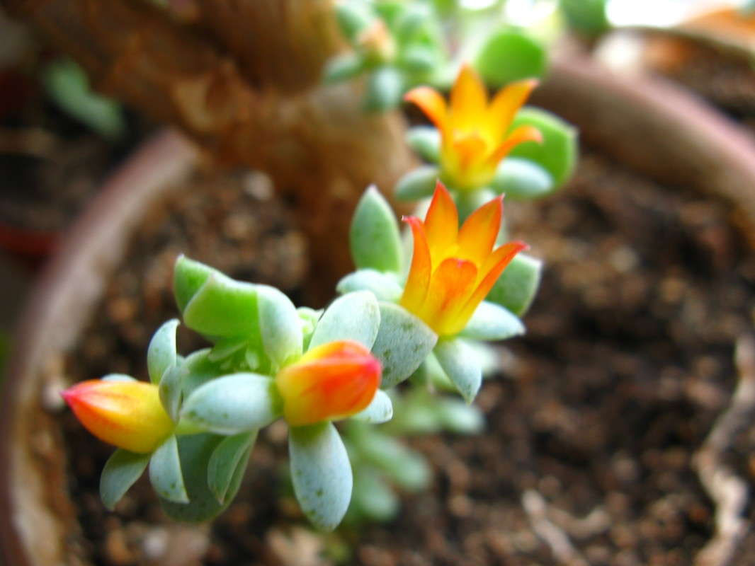 ��������� ������� ����� ������� ��������� �� PhotoGeek.ru #����� #������ ��� ������� #����� ��������������