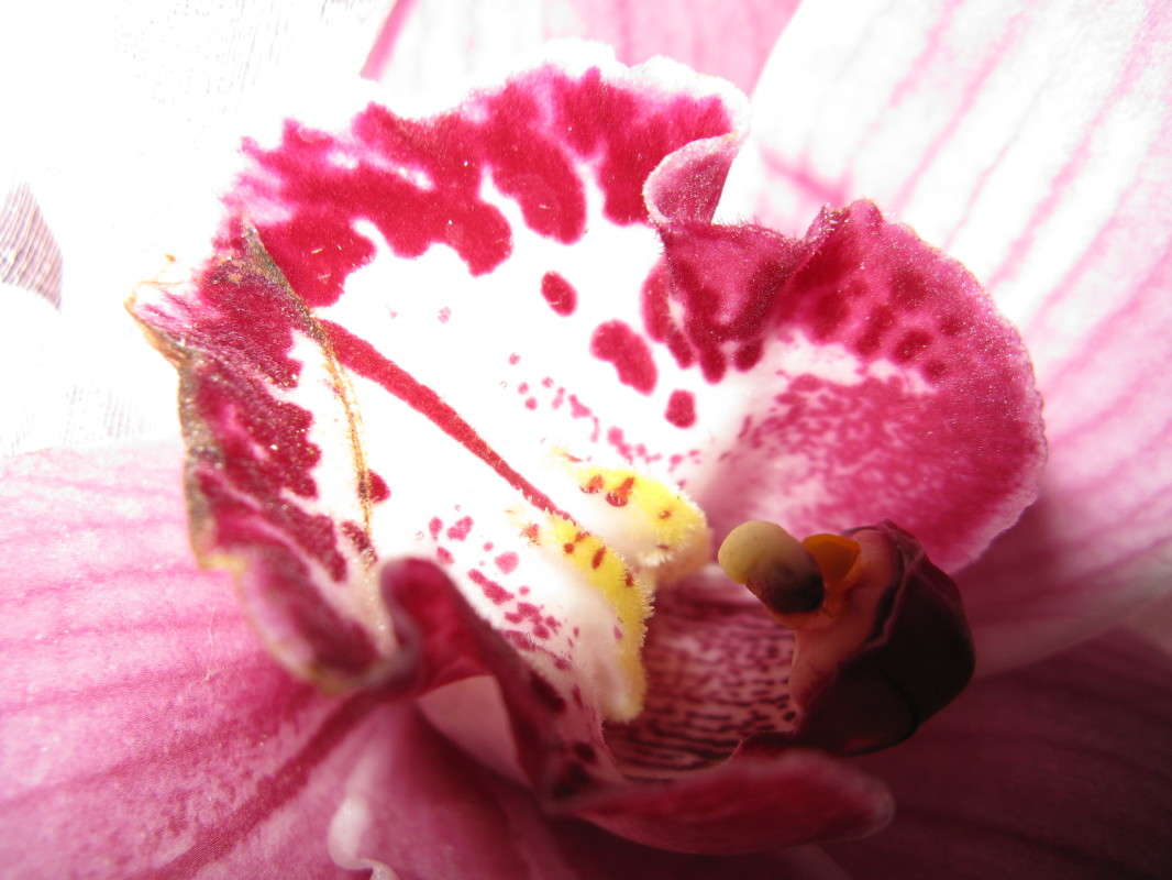 ������� ����� ������� ��������� �� PhotoGeek.ru #����� #����� ��������������