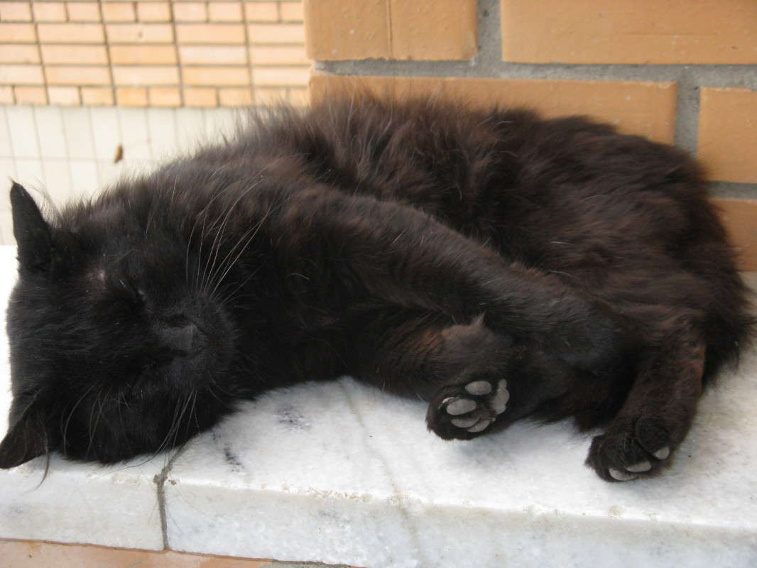 ������� ��� ������� ���� ����� ������� ��������� �� PhotoGeek.ru #�������� ���