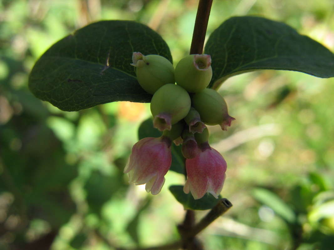 ������� ����� ����� ������� ��������� �� PhotoGeek.ru #����� #����� ��������������