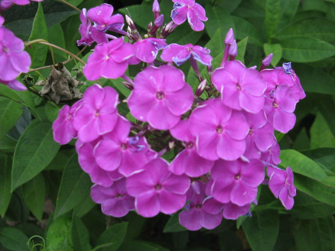 ������� ��������� ����� ������� ��������� �� PhotoGeek.ru #����� #����� ��������������