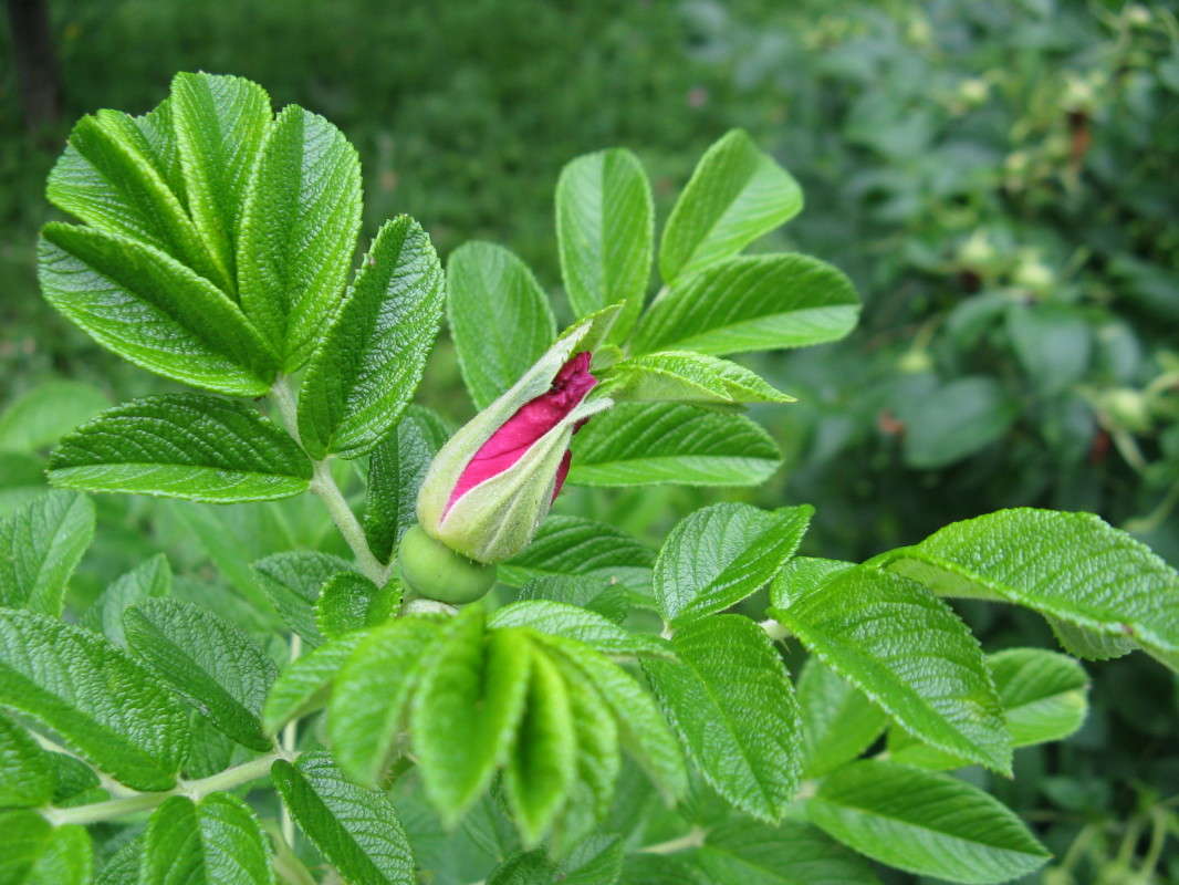 ����� ����� ������� ��������� �� PhotoGeek.ru #����� #����� ��������������