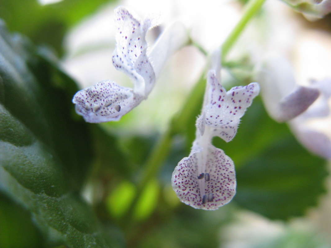 ��������� ����� ����� ������� ��������� �� PhotoGeek.ru #����� #����� ��������������