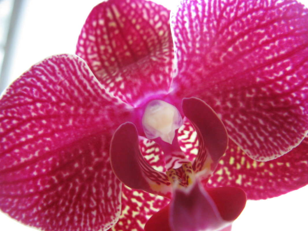 ������� ���������� ����� ������� ��������� �� PhotoGeek.ru #����� #����� ��������������