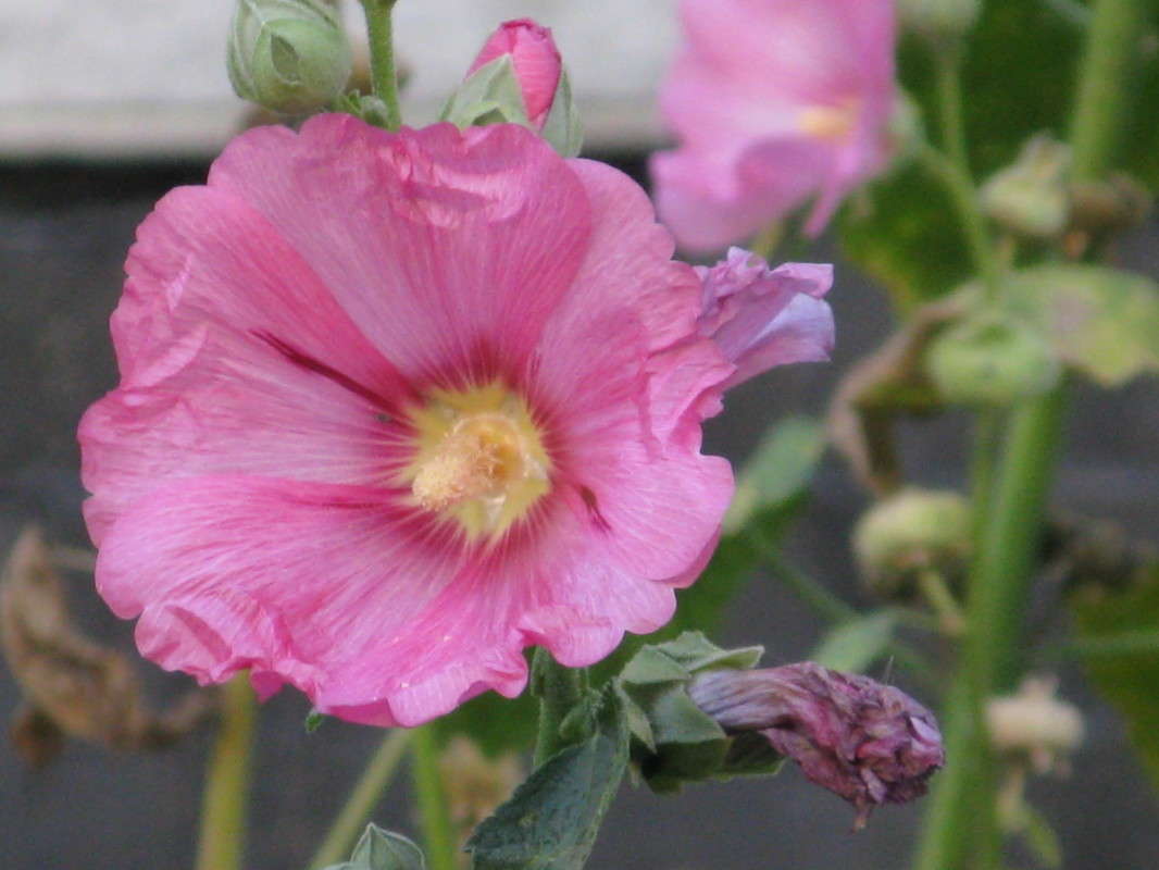 ��������� ������ ����� ������� ��������� �� PhotoGeek.ru #����� #����� ��������������