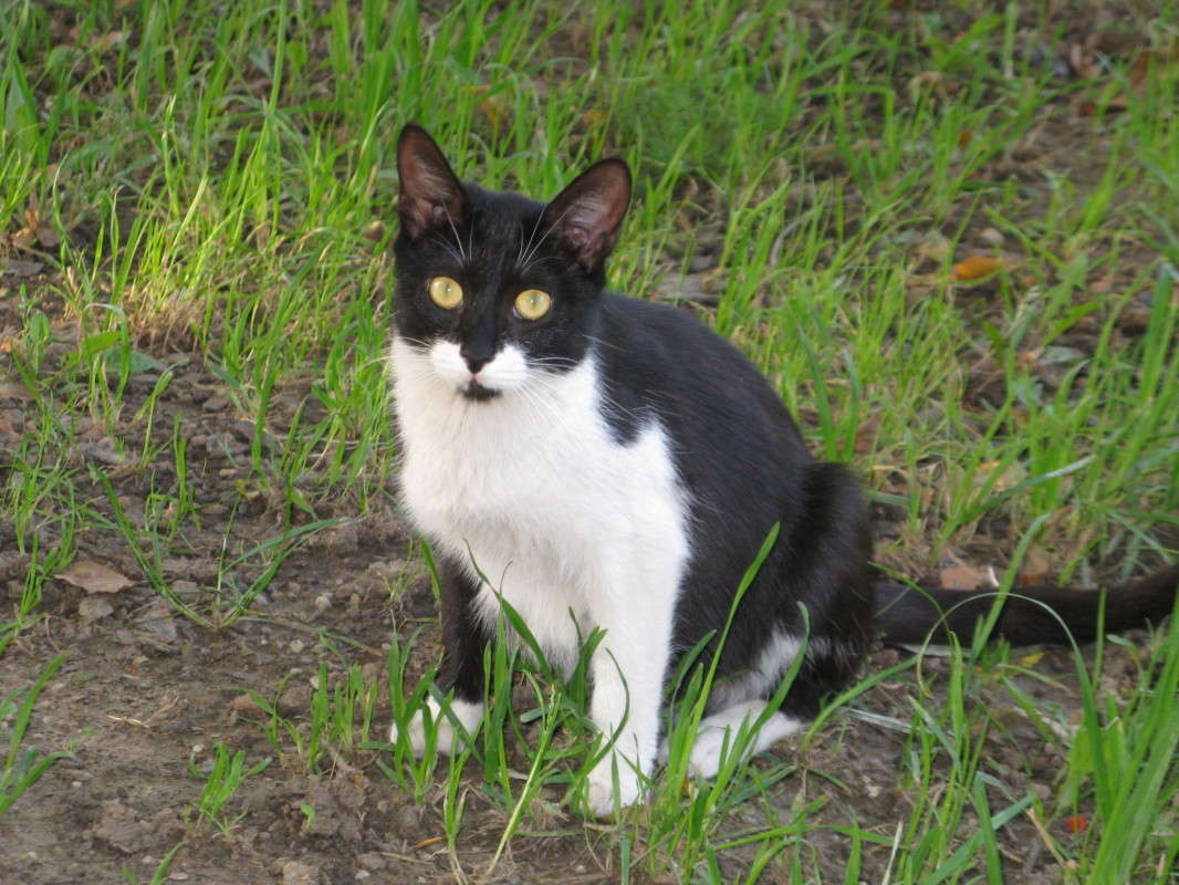 ׸���-����� ����� ����� ������� ��������� �� PhotoGeek.ru #�������� ���