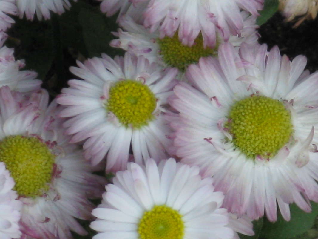 ���������� ����� ������� ��������� �� PhotoGeek.ru #����� #����� ��������������