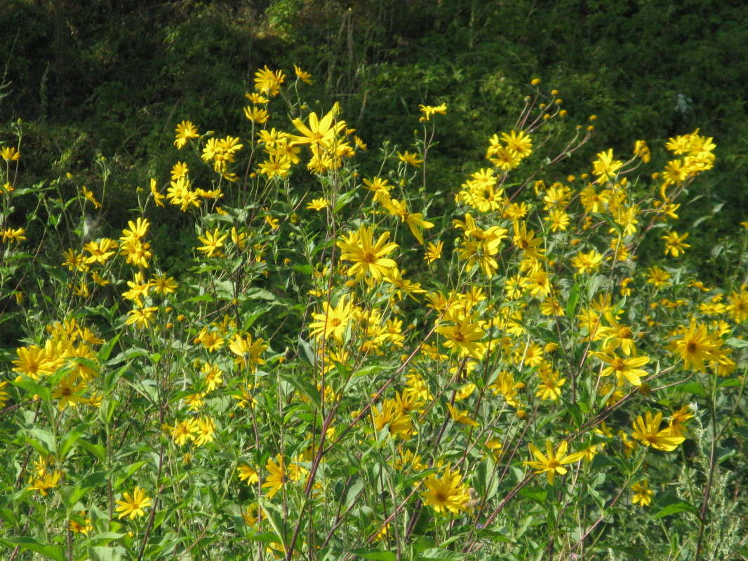 Ƹ���� ����� ����� ������� ��������� �� PhotoGeek.ru #������ ��� ������� #����� ��������������