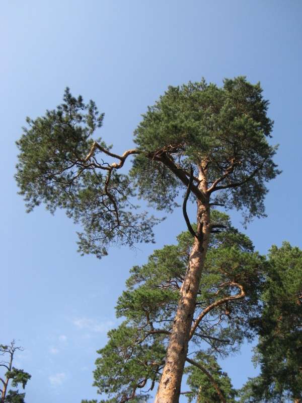 ����� � ���� ����� ������� ��������� �� PhotoGeek.ru #������ ��� ������� #����� ��������������