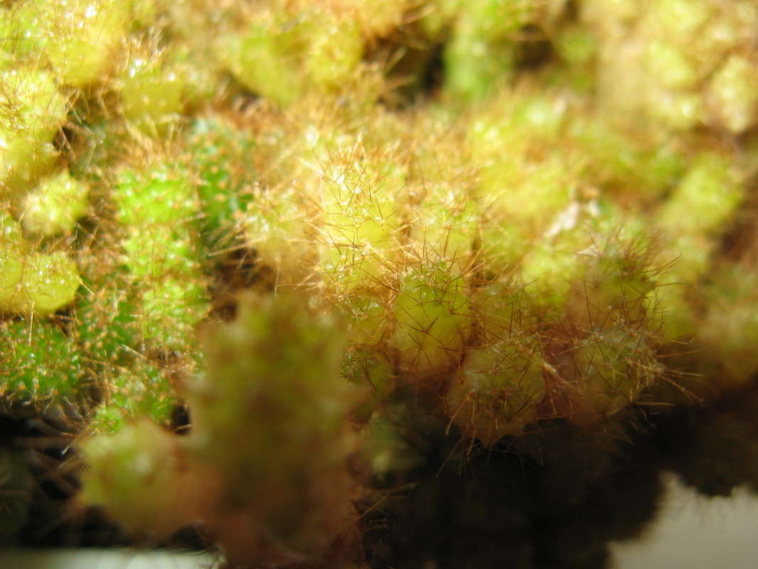 ������ (�����) 1 ����� ������� ��������� �� PhotoGeek.ru #����� #����� ��������������