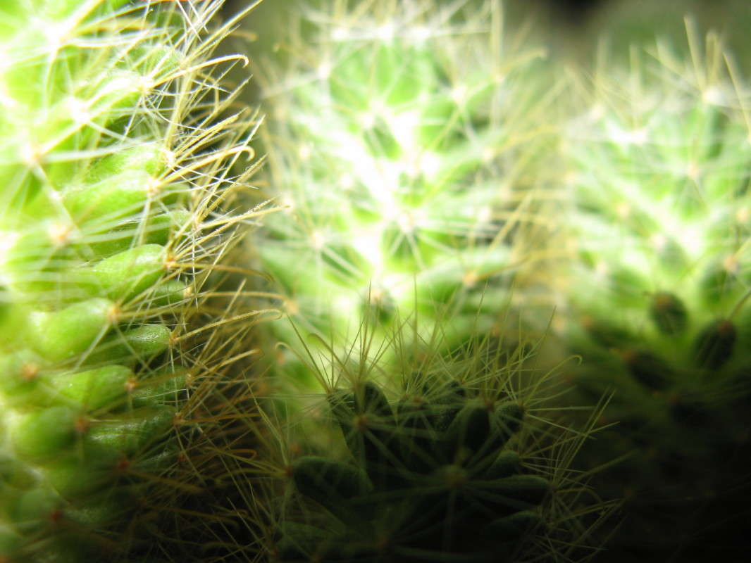 ������ (�����) 2 ����� ������� ��������� �� PhotoGeek.ru #����� #����� ��������������