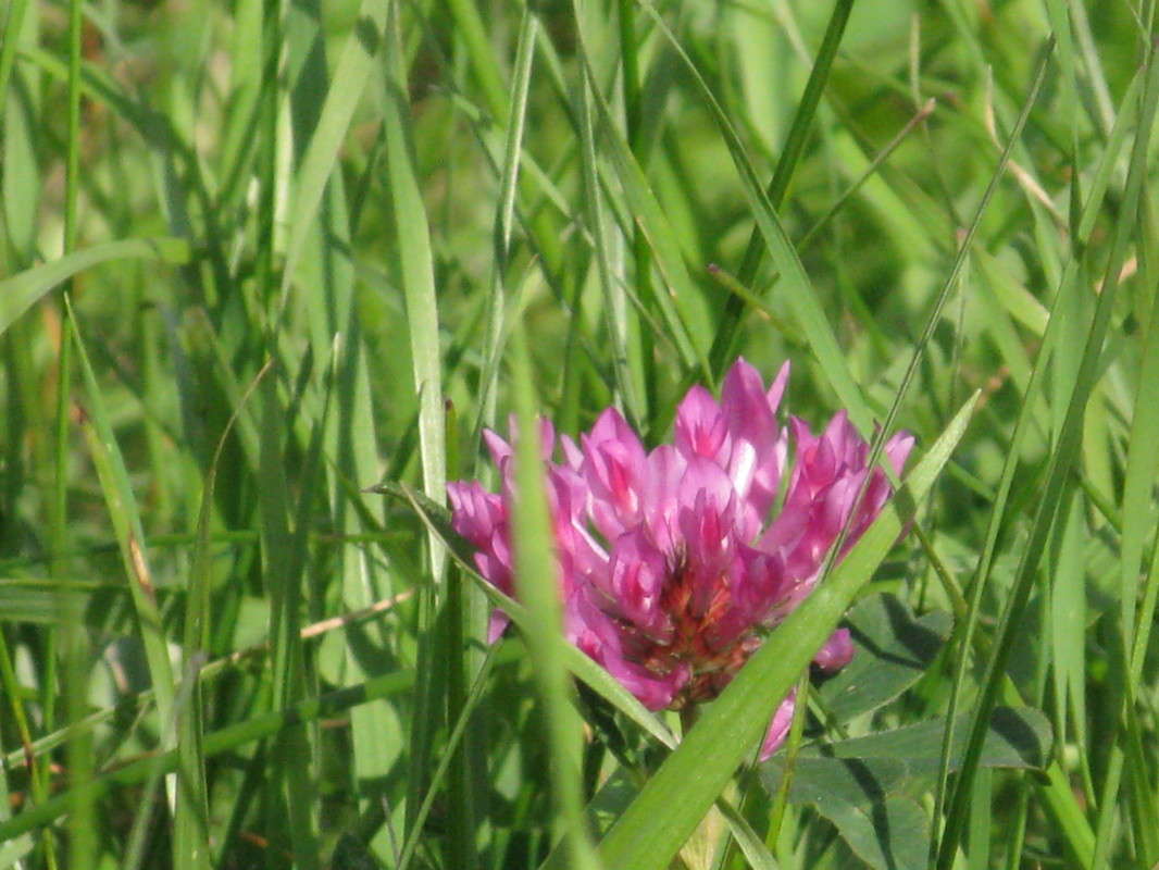 ������ ����� ������� ��������� �� PhotoGeek.ru #����� #������ ��� ������� #����� ��������������