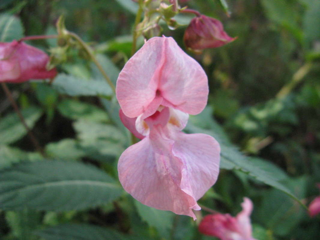 �����-������� ������ ����� ������� ��������� �� PhotoGeek.ru #����� #����� ��������������