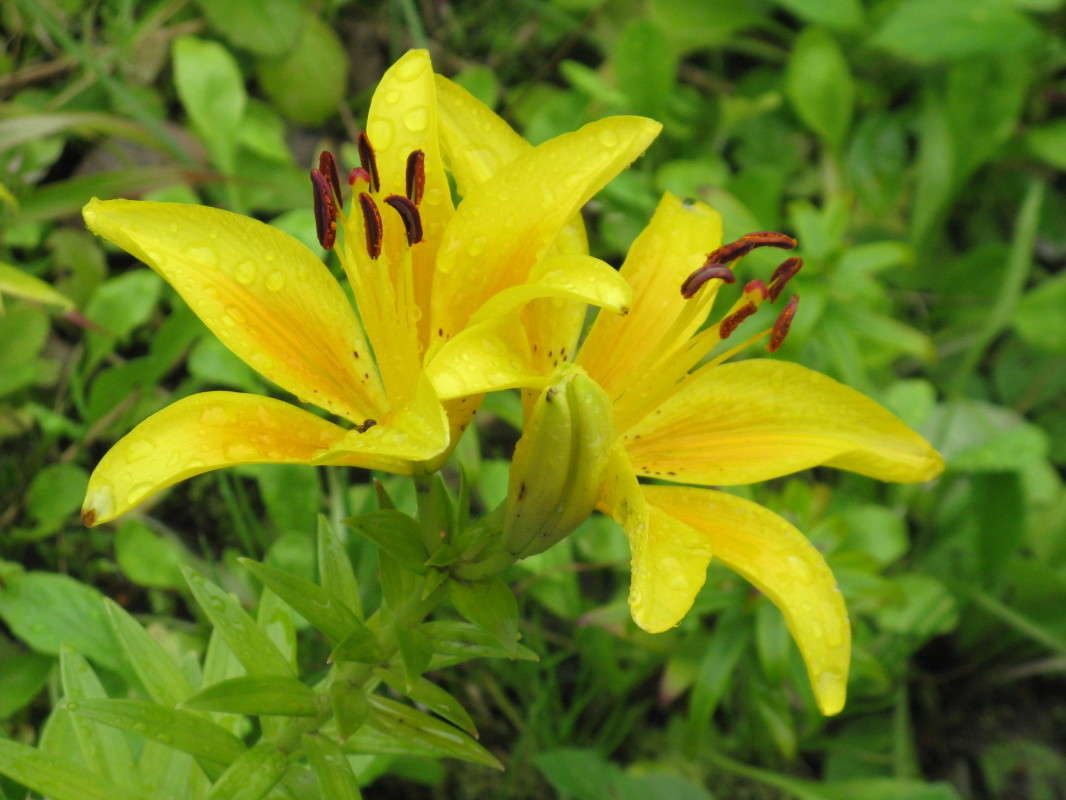 Ƹ���� ����� ����� ������� ��������� �� PhotoGeek.ru #����� #����� ��������������