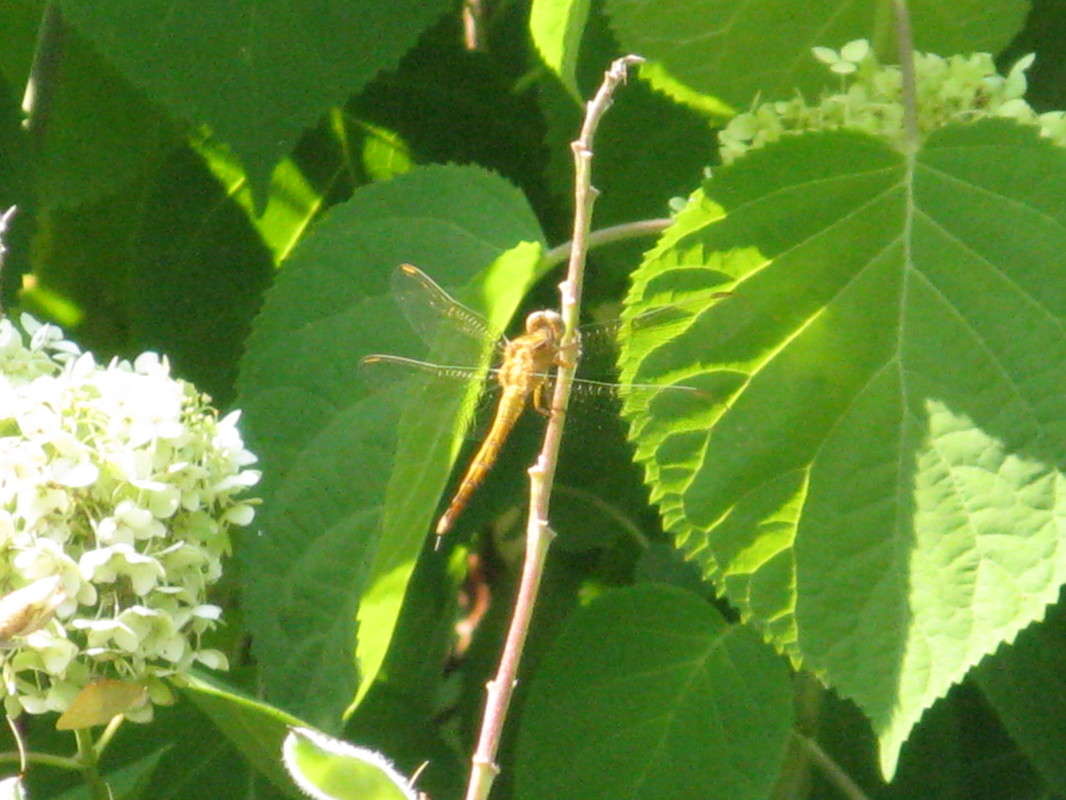 �������� ����� ������� ��������� �� PhotoGeek.ru #����� #������ ��� ������� #����� �������������� #���������