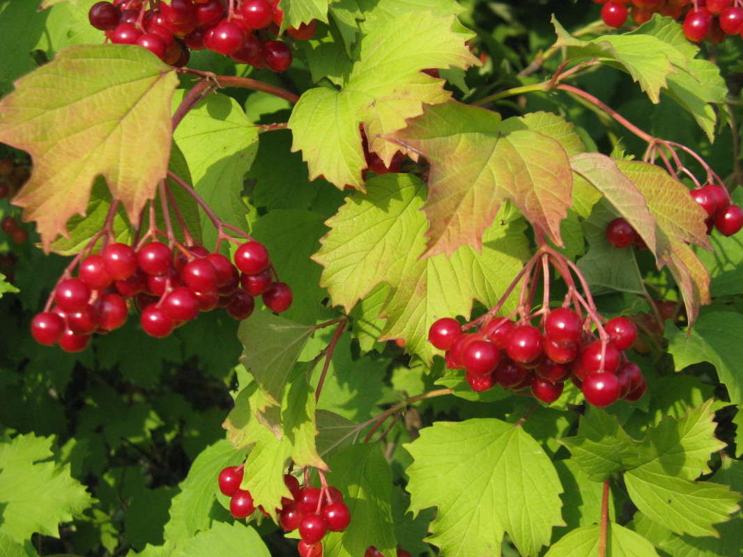 ������ ����� ������� ��������� �� PhotoGeek.ru #������ ��� ������� #����� ��������������