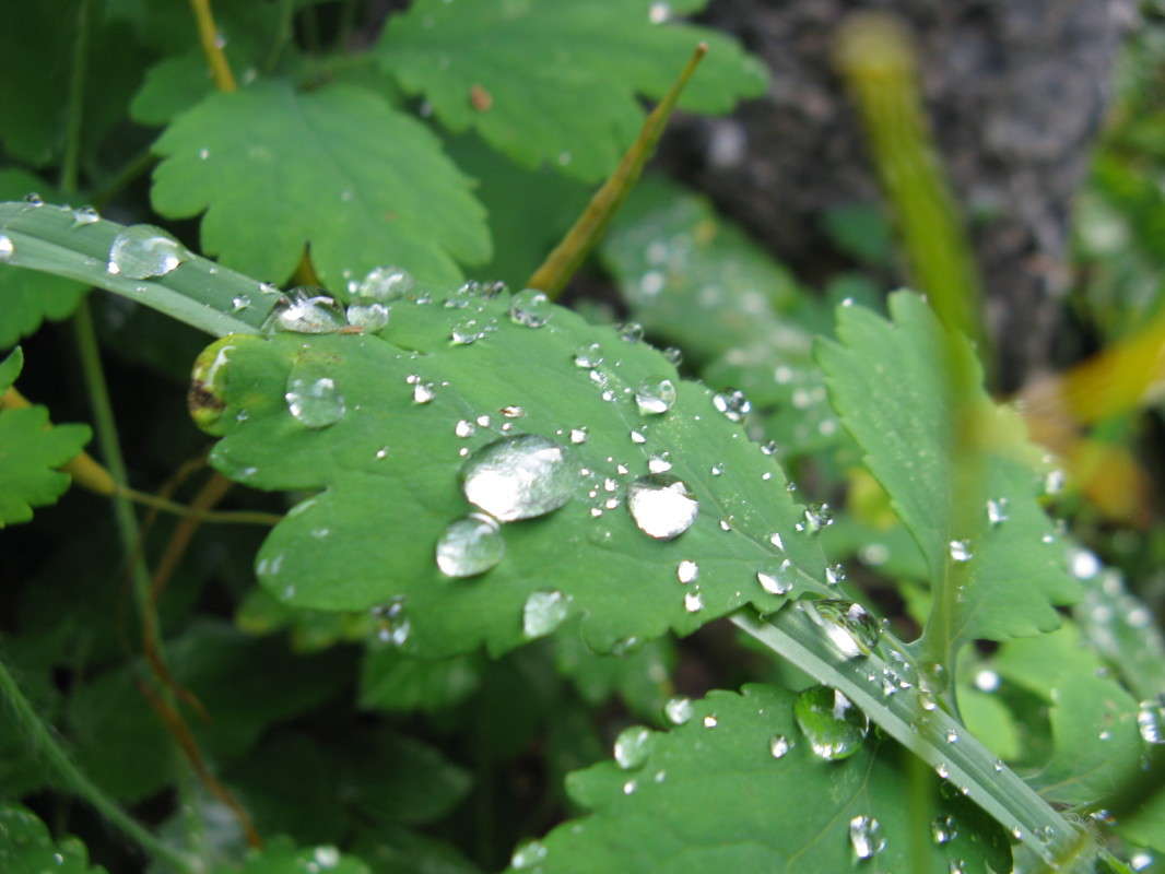 � ����. ����� ����� ����� ������� ��������� �� PhotoGeek.ru #����� #������ ��� ������� #����� ��������������