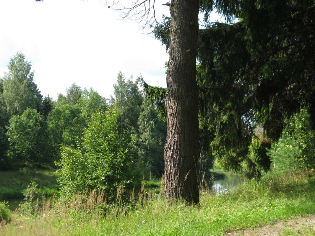 ��� �� ���� ����� ������� ��������� �� PhotoGeek.ru #������ ��� ������� #����� ��������������