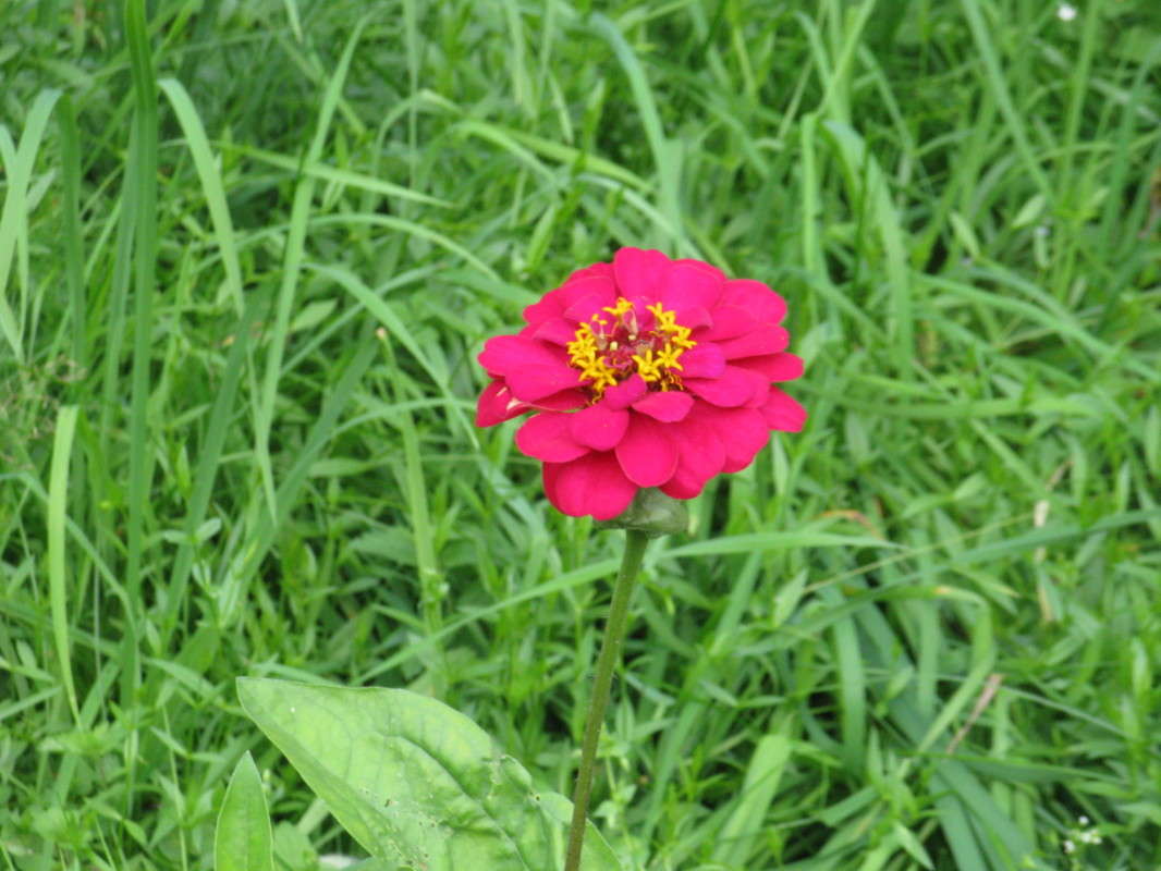 ������� ������ ����� ������� ��������� �� PhotoGeek.ru #������ ��� ������� #����� ��������������