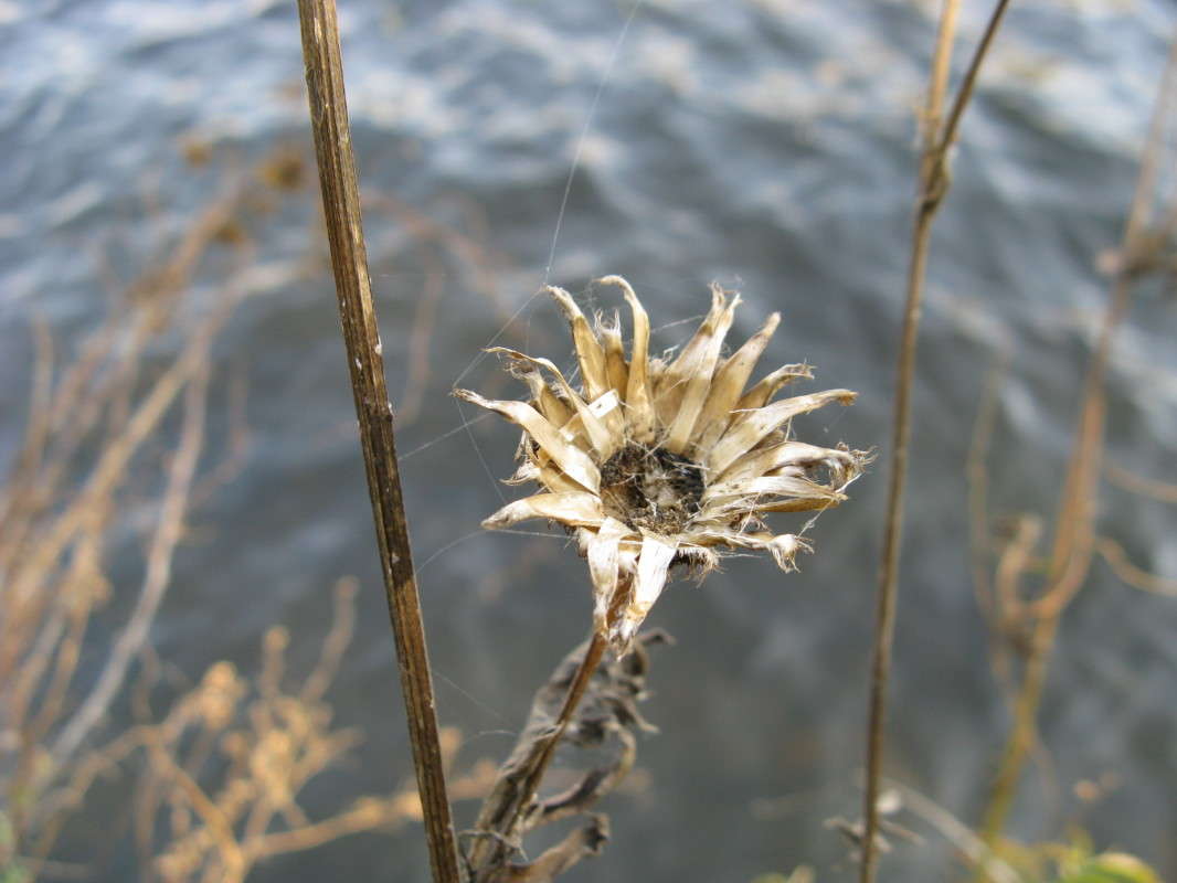 �������� ������ ����� ������� ��������� �� PhotoGeek.ru #����� #������ ��� �������