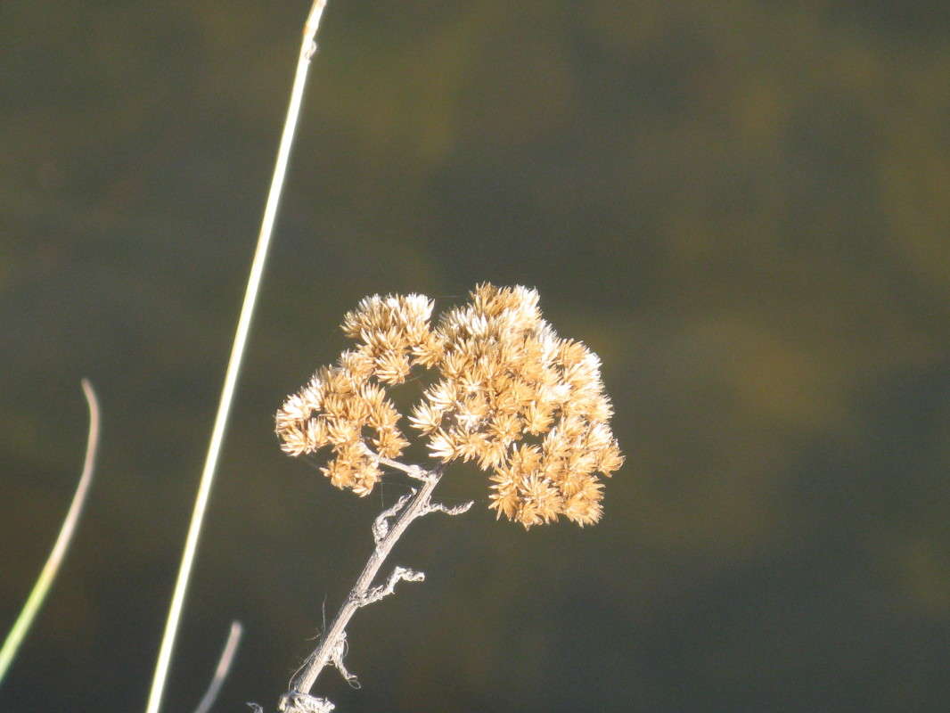 �����-�� �� ��� �����... ����� ������� ��������� �� PhotoGeek.ru #����� #������ ��� �������