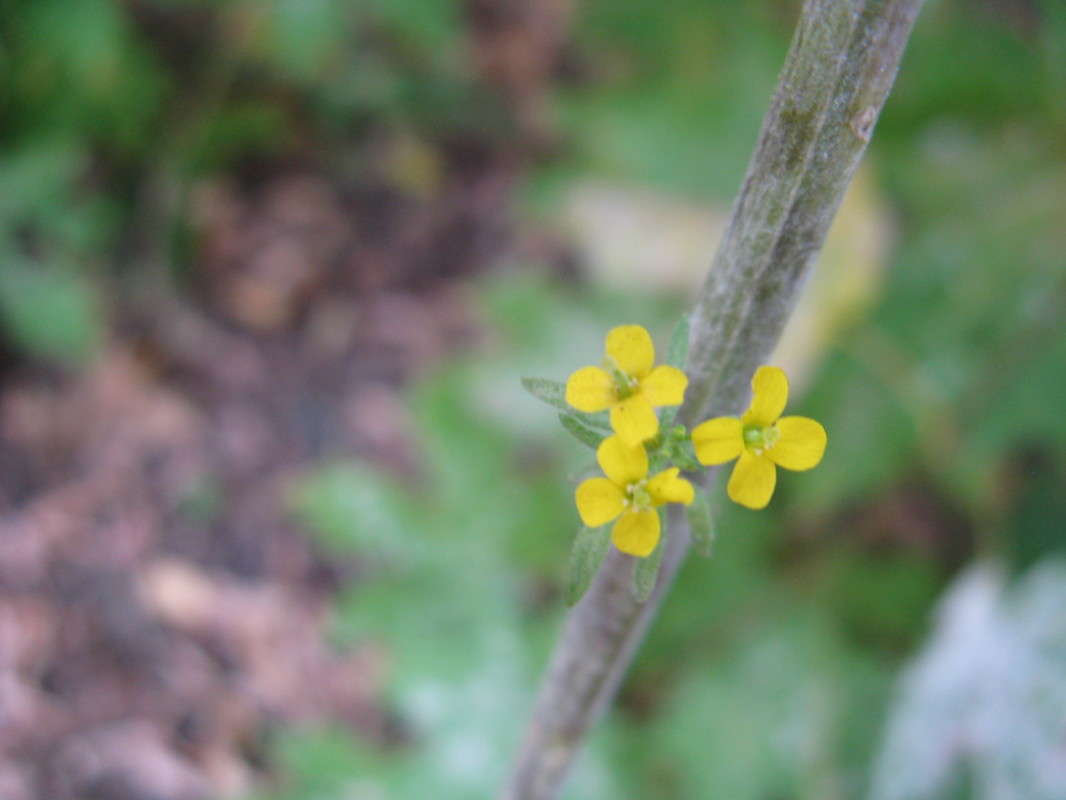 ��������� ����� ������� ��������� �� PhotoGeek.ru #����� #������ ��� ������� #����� ��������������