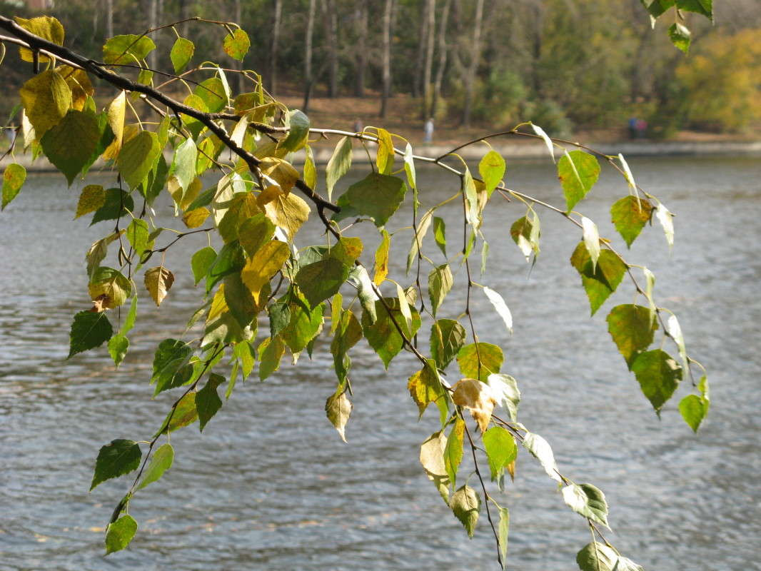 ��� ����� ����� ������� ��������� �� PhotoGeek.ru #������ ��� �������