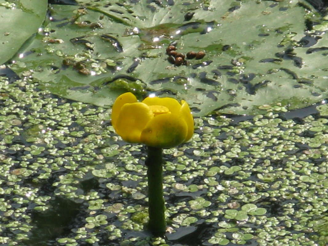 Ƹ���� ������� ����� ������� ��������� �� PhotoGeek.ru #������ ��� ������� #����� ��������������