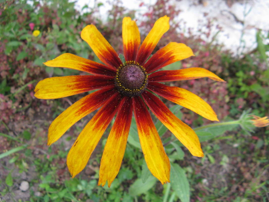 �������� ����� ������� ��������� �� PhotoGeek.ru #����� #������ ��� ������� #����� ��������������