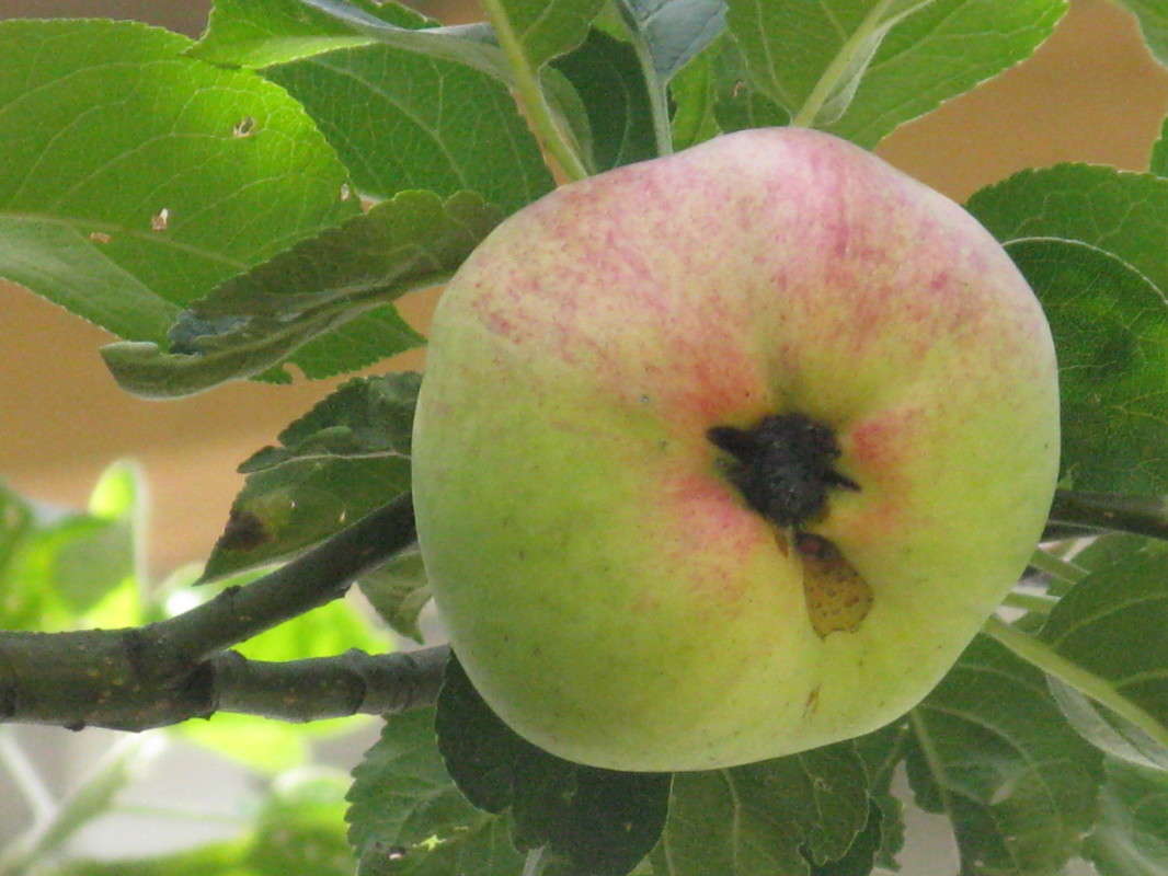 ����� ������� ����� ������� ��������� �� PhotoGeek.ru #������ ��� ������� #����� ��������������