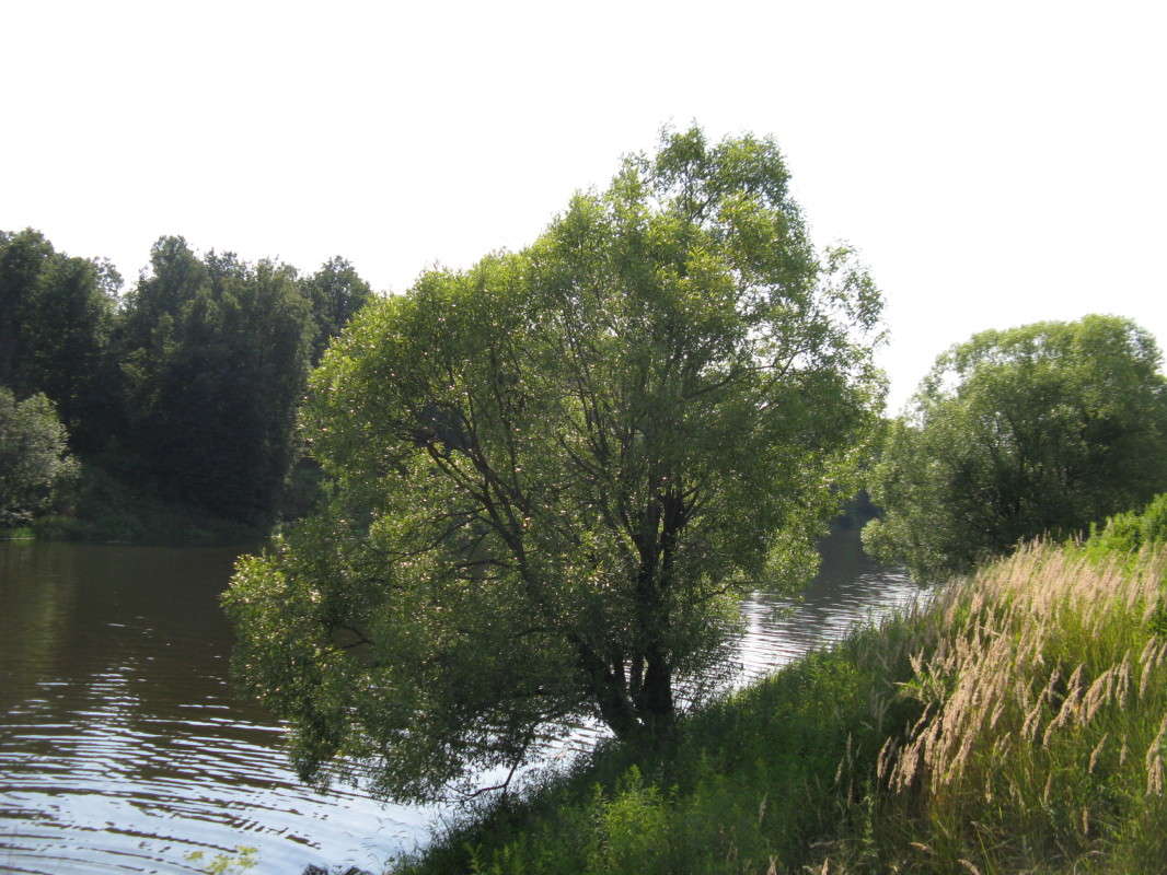 ����� � ���� ����� ������� ��������� �� PhotoGeek.ru #������ ��� �������