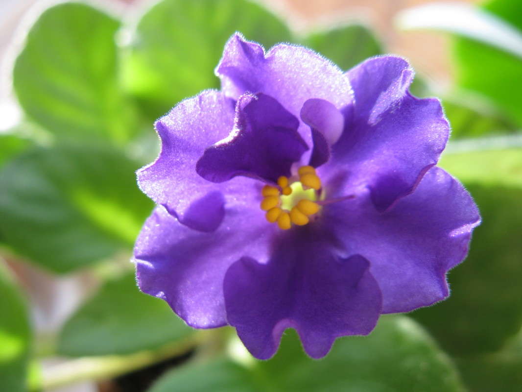 ������ ����� ������� ��������� �� PhotoGeek.ru #����� #����� ��������������