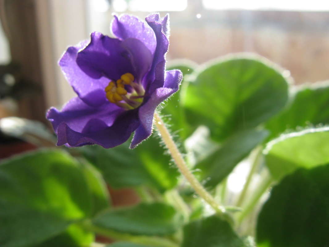 ������ (2) ����� ������� ��������� �� PhotoGeek.ru #����� #����� ��������������