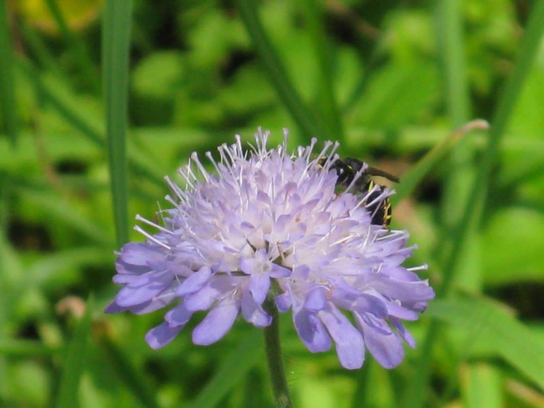 ��� �� ������ ����� ������� ��������� �� PhotoGeek.ru #����� #������ ��� ������� #����� �������������� #���������