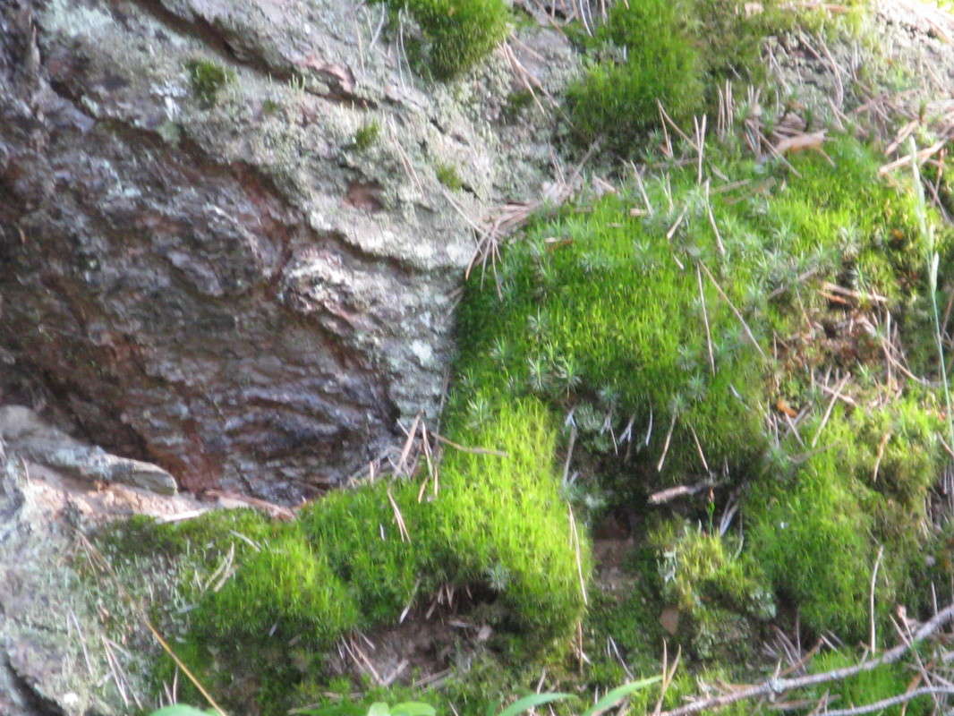 ��� �� ������ ����� ������� ��������� �� PhotoGeek.ru #������ ��� ������� #����� ��������������