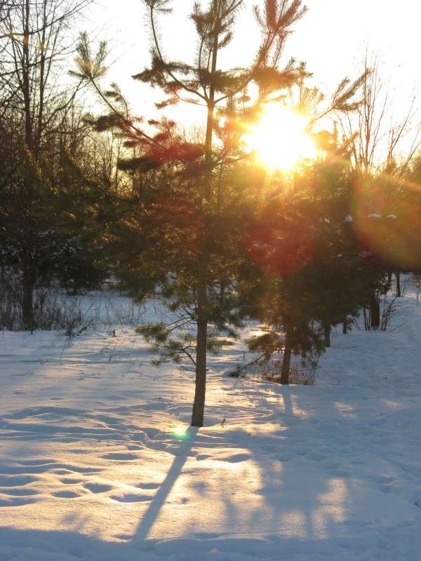 ������ ������ ����� ������� ��������� �� PhotoGeek.ru #������ ��� �������