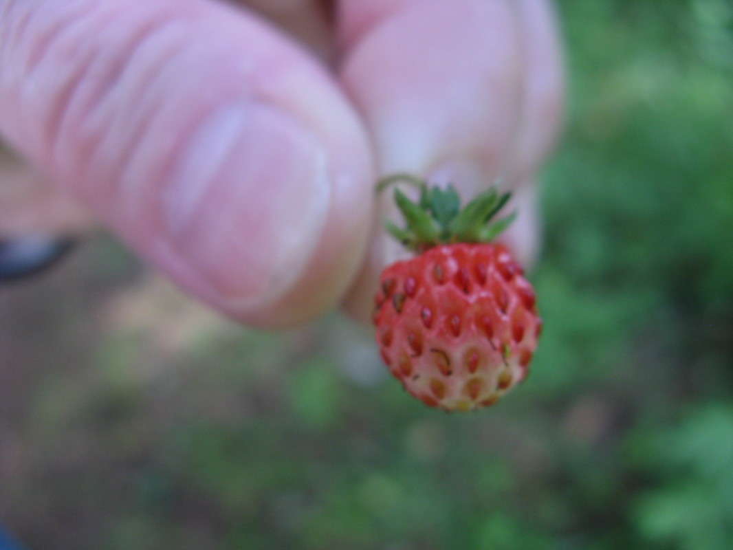 ���������� ����� ������� ��������� �� PhotoGeek.ru #����� #������ ��� �������