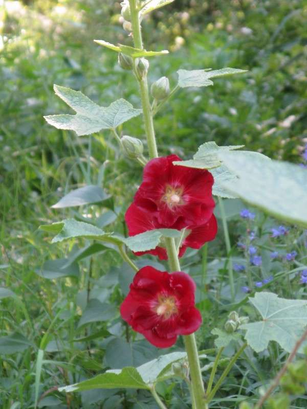 ���� ������ ����� ������� ��������� �� PhotoGeek.ru #������ ��� ������� #����� ��������������