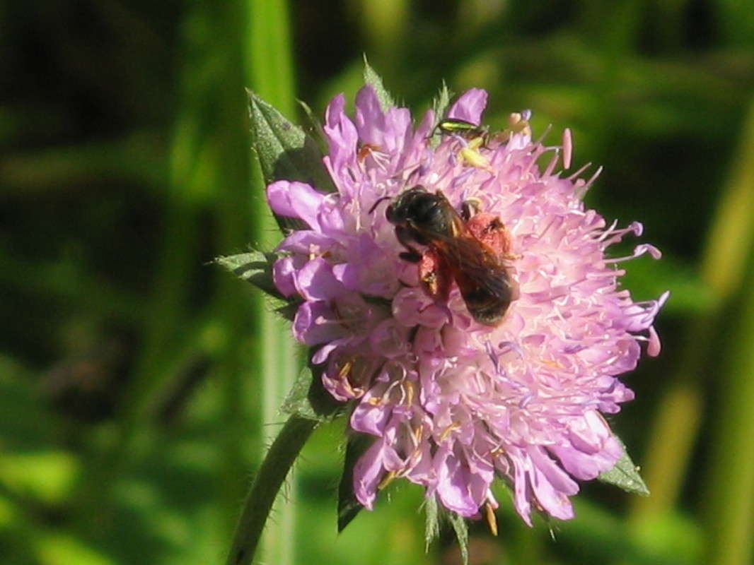 ������� �� ������ ����� ������� ��������� �� PhotoGeek.ru #����� #������ ��� ������� #����� �������������� #���������