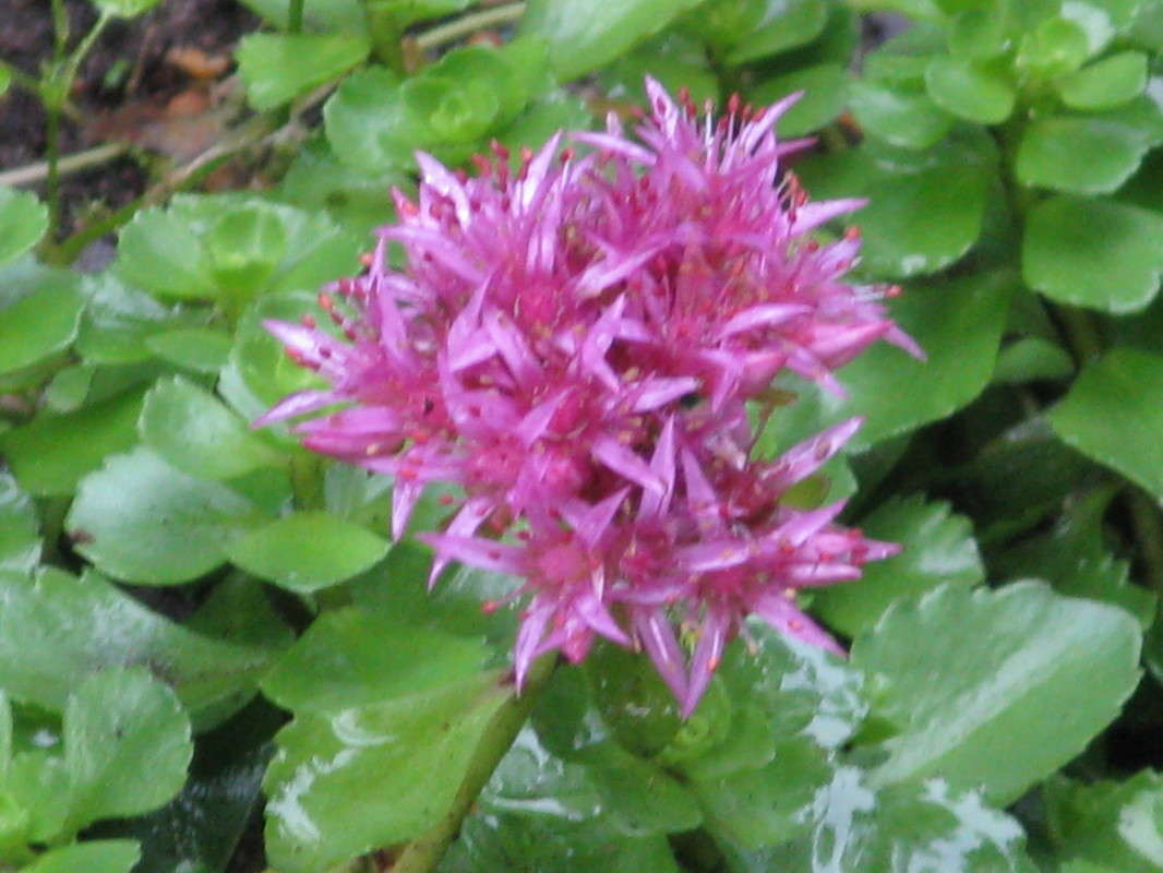 ������� ����� ����� ������� ��������� �� PhotoGeek.ru #����� #����� ��������������