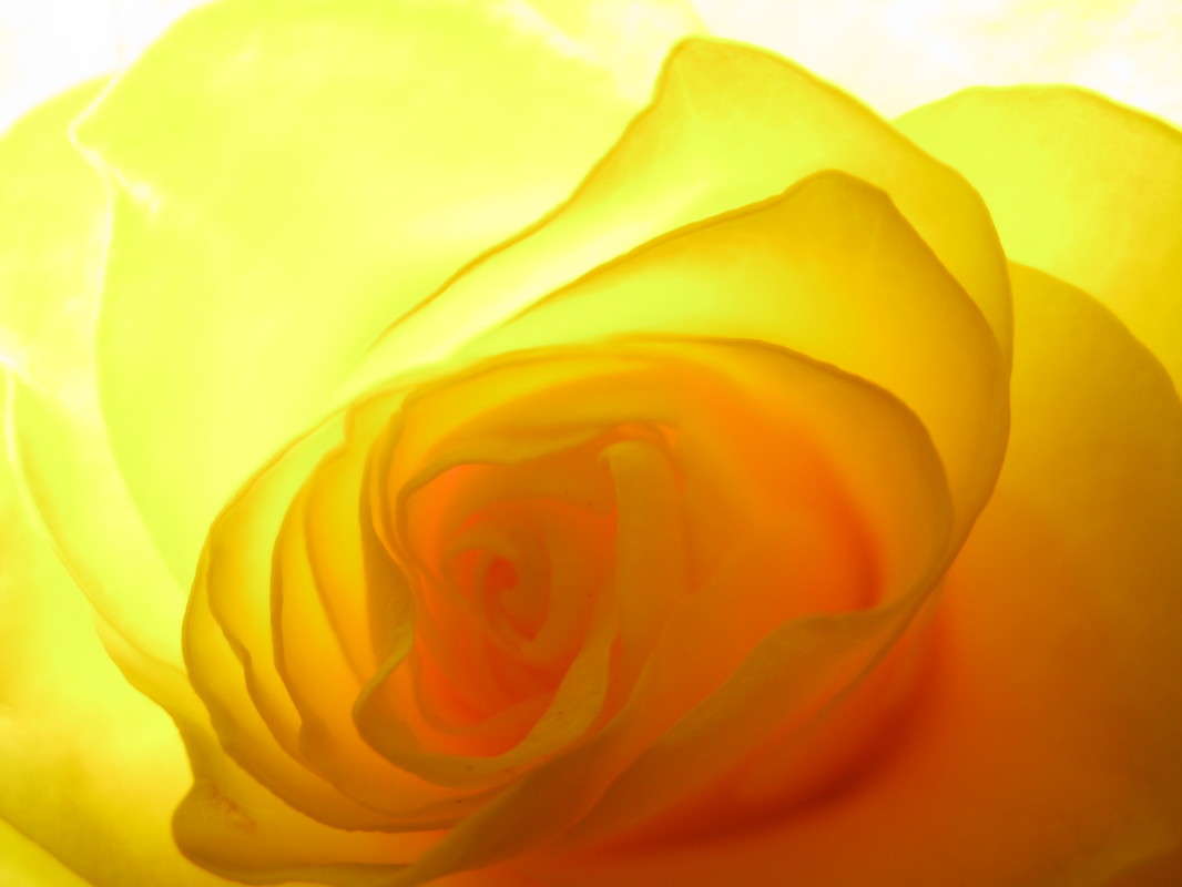 Ƹ���� ���� (1) ����� ������� ��������� �� PhotoGeek.ru #����� #����� ��������������