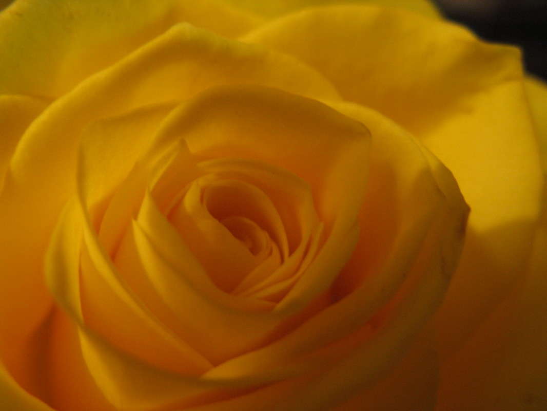 Ƹ���� ���� (2) ����� ������� ��������� �� PhotoGeek.ru #����� #����� ��������������