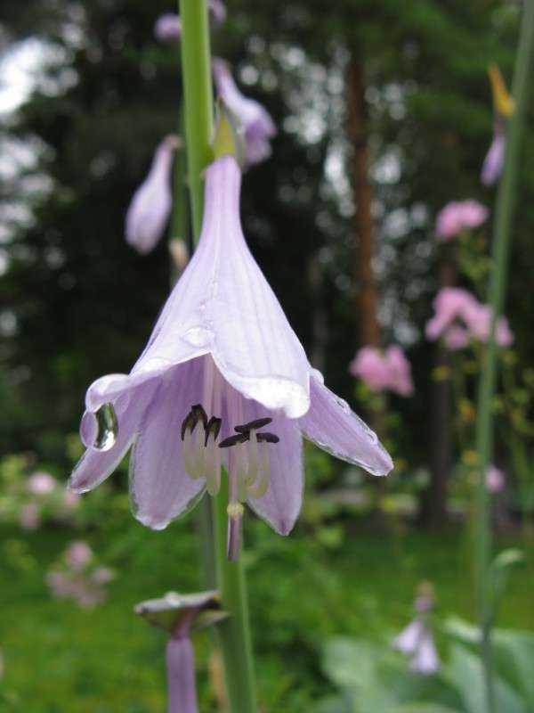 ������ ��������� ����� ������� ��������� �� PhotoGeek.ru #����� #������ ��� ������� #����� ��������������