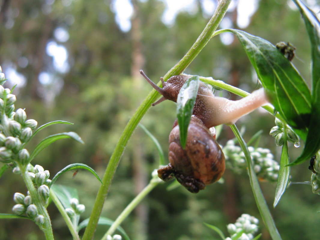 ������� � ������� ����� ������� ��������� �� PhotoGeek.ru #����� #������ ��� ������� #���������